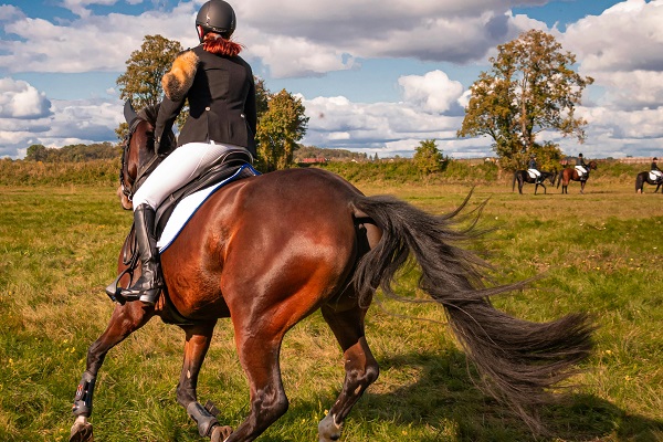 Autumn Horseback Riding Routes: Exploring Nature�s Golden Palette